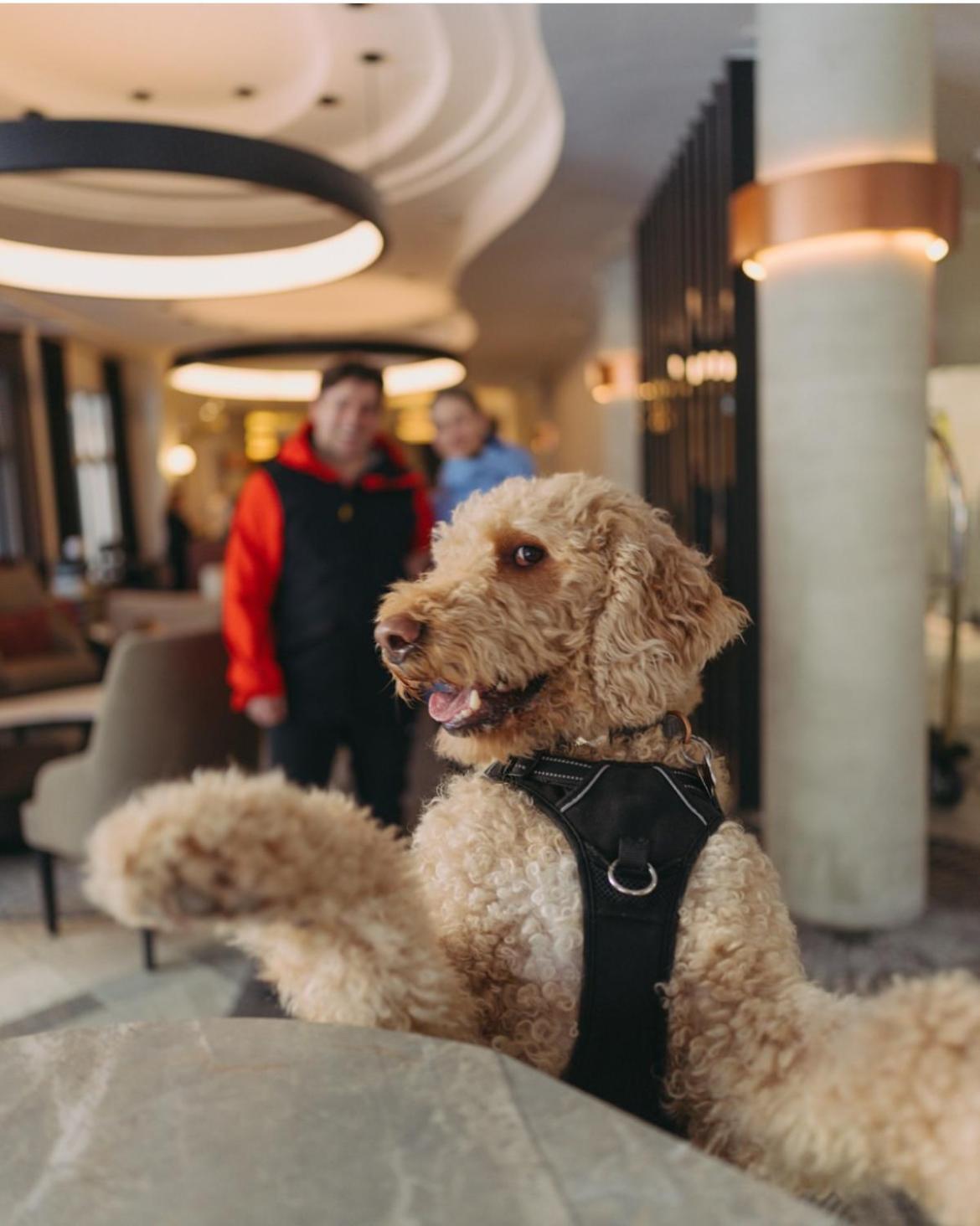Le Westin Tremblant Hotel Mont-Tremblant Buitenkant foto